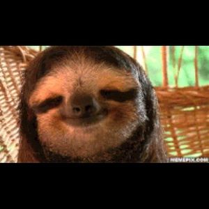 Meet your Posher, Maggie